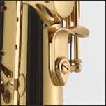 Тенор-саксофон J.MICHAEL TN-1100AGL (S) огляд, опис, покупка | MUSICCASE 