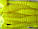 Силіконова принада їстівна Flat Worm (ЧервьПлоский), TBR-017, колір 006, 8шт., фото 5