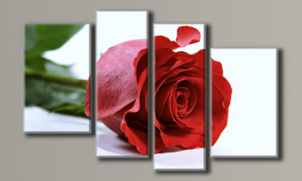 

Модульная картина Красная роза-2 73х116 см (HAF-085)