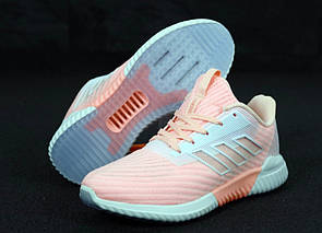 Кроссовки женские розовые Adidas Climacool (00064) 37
