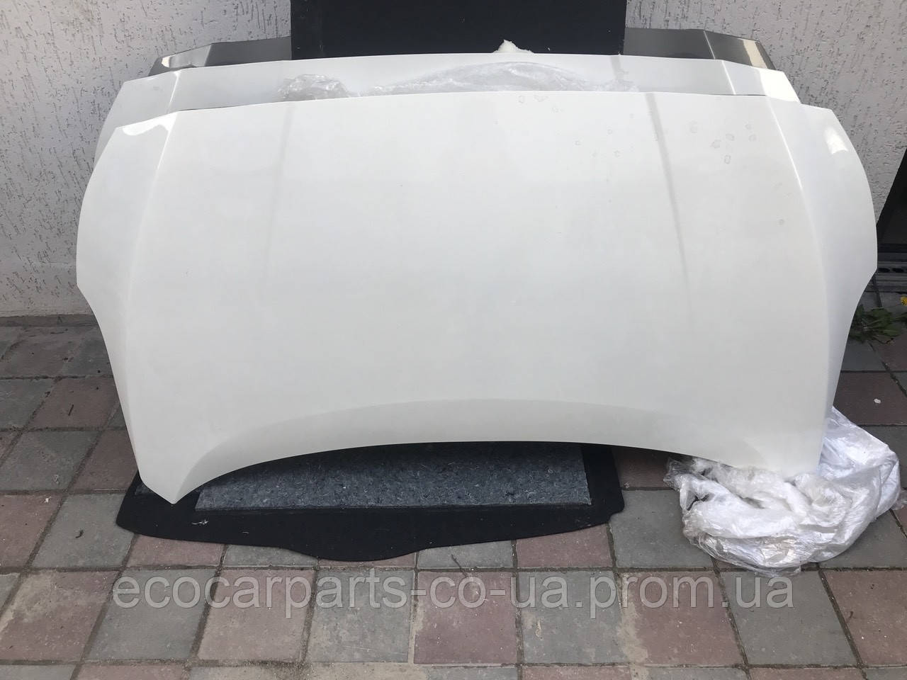 

Капот Nissan Leaf 2018- 65100-5SA0A, 65840-5SK0A