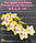 Орхідея фаленопсис. Сорт Green batman горщик 2.5" без квітів, фото 4