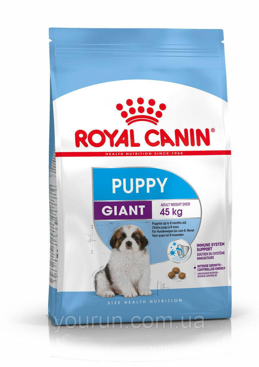 Royal Canin (Роял Канин) Giant Puppy корм для щенков от 2 до 8 месяцев, 15кг.