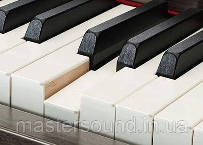 Фото Цифровое фортепиано Yamaha Clavinova CVP-809 PWH | MUSICCASE