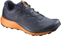 

Кроссовки мужские SALOMON SENSE RIDE 9 UK ; 43 1/3 EUR ; 27,5 см