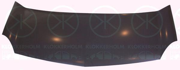 

Капот Рено Канго RENAULT KANGOO 2.08- 6011280