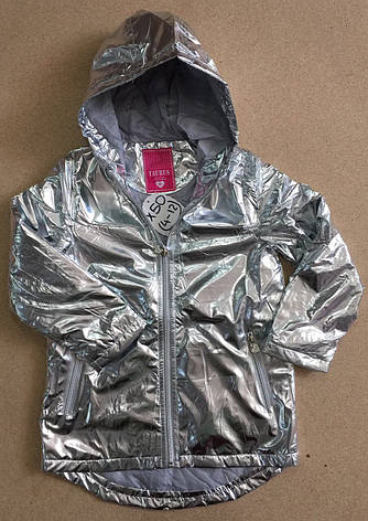 Куртки на девочек оптом, Taurus, 4-12 рр, фото 2