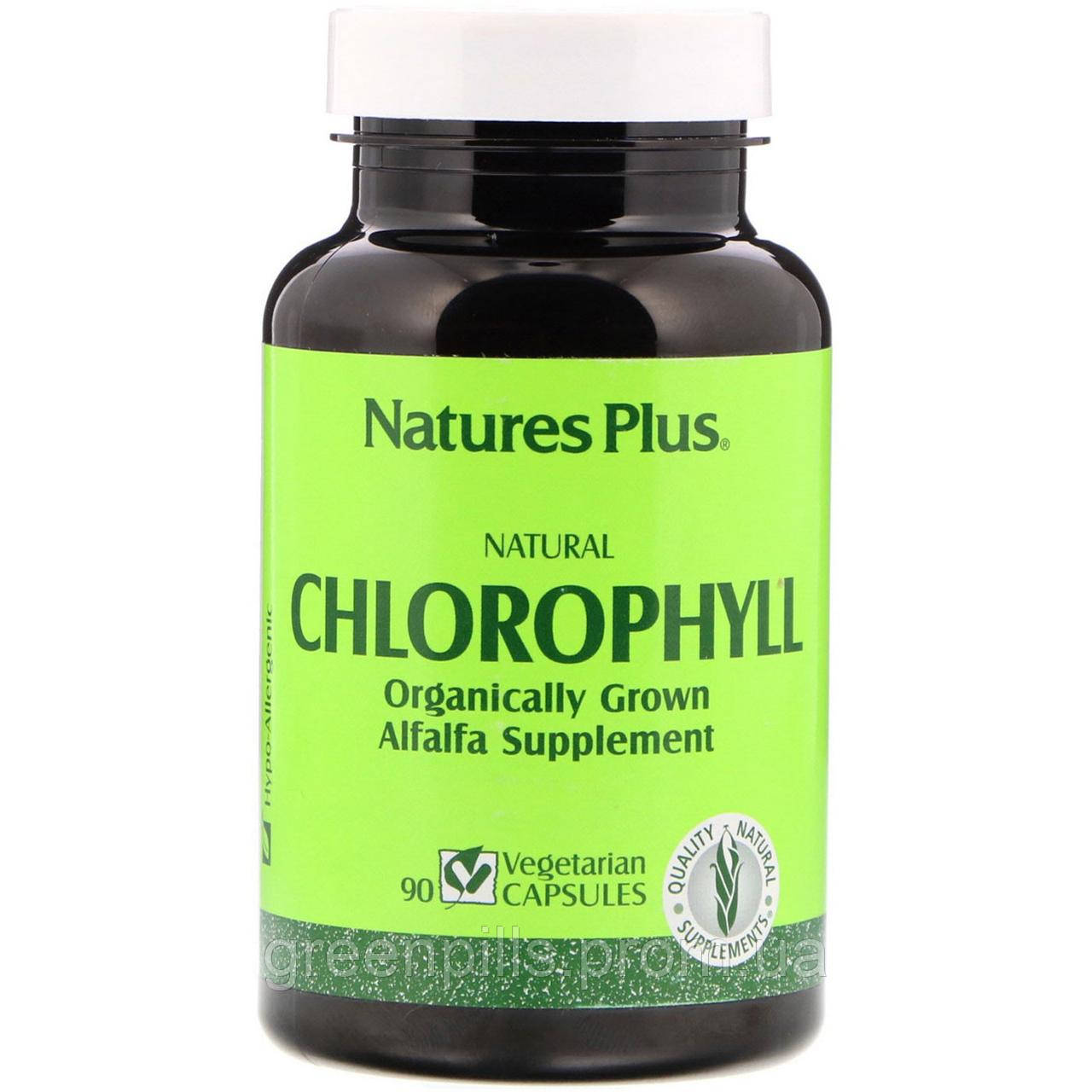 

Natures Plus, Natural Chlorophyll, 90 Vegetarian Capsules