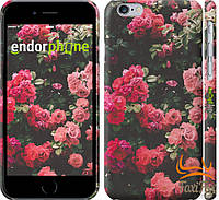 Ексклюзивний чохол для iphone 6 Кущ з трояндами "