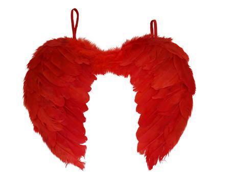 Маленькі червоні крила на карнавал, маскарад 40*30 пір'яні крильця
