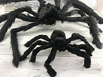 Павук волохатий на Хелловін, 60 см, Паук декоративный на Хэллоуин, фото 2