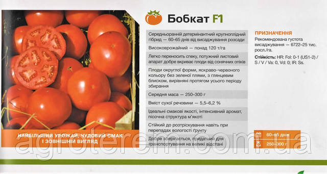 Урожайность томата бобкат. Бобкат f1 томат характеристика. Томат Бобкат ф1. Томат Бобкат f1. Томат Бобкат f1 характеристика и описание.