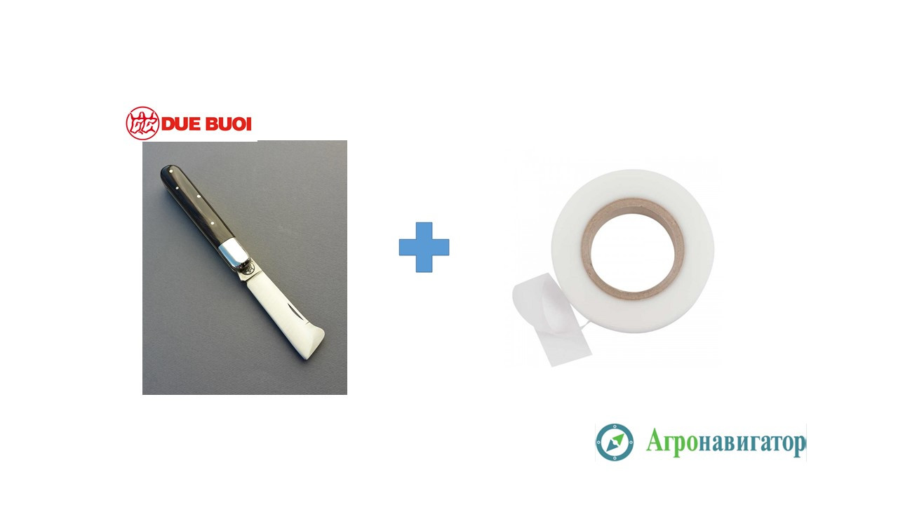 Нож для прививки Due Buoi 203C (Италия) + Лента для прививки Buddy Tape  BT60-40, цена 1840 грн. - Prom.ua (ID#1045613980)