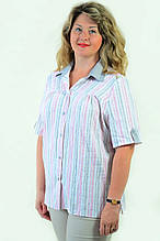 Блуза жіноча з бавовни стрейчева , бл 056,48-56