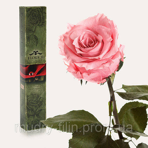 

Долгосвежая роза FLORICH РОЗОВЫЙ КВАРЦ 7 карат средний стебель в подарочной упаковке