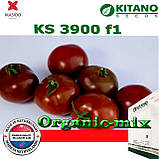 Семена, томат индетерминантный, коричневый KS 3900 F1, ТМ Kitano Seeds, 500 семян, фото 2
