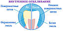 Crest 3D White Luxe Whitestrips Supreme FlexFit отбеливающие полоски для зубов из США, фото 4