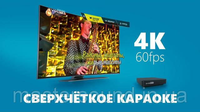 MUSICCASE | Караоке система Evolution Evobox Black купить в Украине