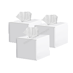 Серветки косметичні у квадратному боксі 2-слойні білі 80 шт PRO Service