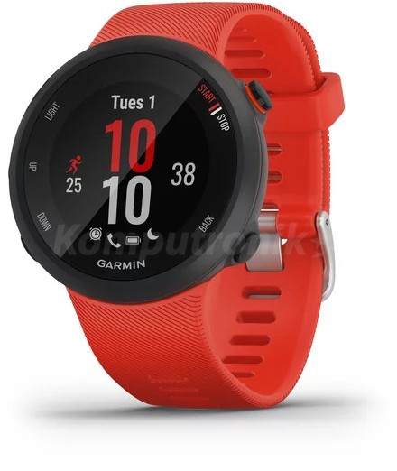 

Часы Garmin Forerunner 45