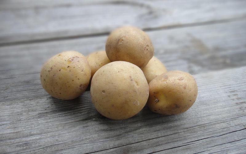 Джелли картофель характеристика отзывы. Картофель Мадейра. Картофель семенной Джелли. Картофель сорт Раджа.