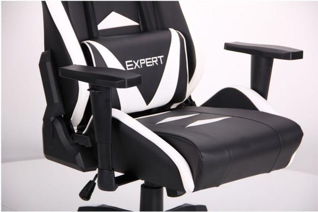 Кресло VR Racer Expert Guru черный, белый (7)
