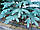 Литая новогодняя елка Премиум 1.50м. голубая, фото 4
