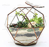 Флораріум Globe mini, фото 2