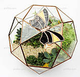 Флораріум Globe mini, фото 3
