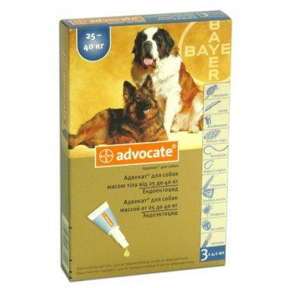 Адвокат от блох для собак. Advocate капли для собак. Капли Адвантейдж для собак 25-40 кг. Bayer Advocate 100 капли для собак от 4 до 10 кг (1 пипетка). Адвокат 400 капли для собак.