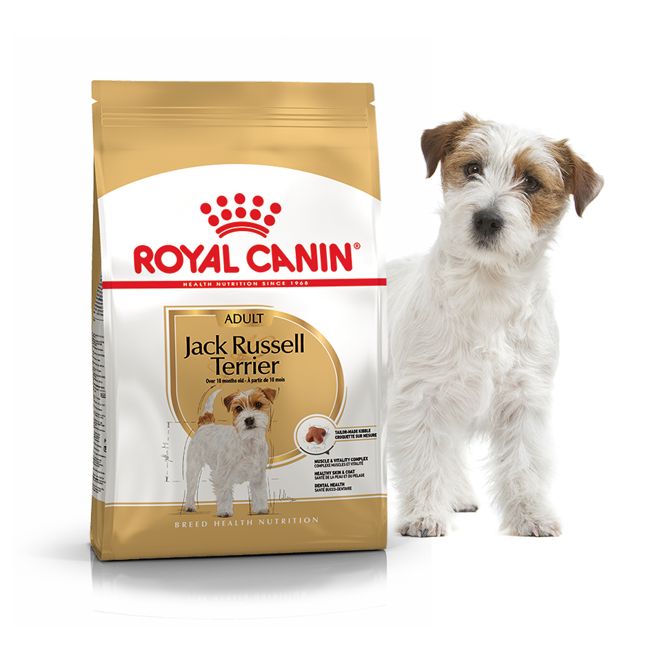 

Сухой корм Royal Canin Jack Russel Adult 7,5кг