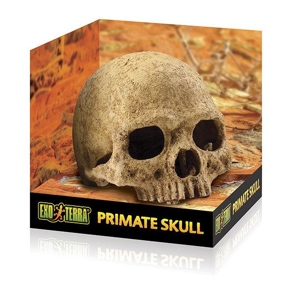 

Декорация Exo Terra Primate Skull