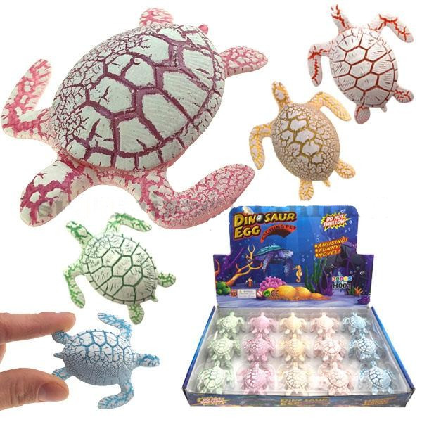 Набор черепахи. Растущей в воде черепаха игрушка. Игрушка черепашка которая растёт в воде. Игрушки наборы маленьких черепашек. Набор игрушек черепахи.
