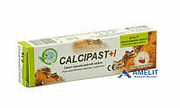 Кальципаст+I (Calcipast+I, Cerkamed), шприц 2,5г