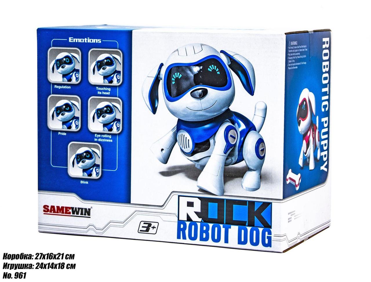 rock robot dog
