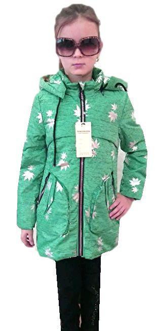 

Стильный куртка для девочек зеленого цвета с принтом серебристых листочков, Зелёный