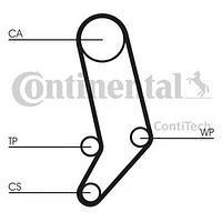 

Комплект ГРМ (ремень и ролики) Фольксваген Транспортер / CARAVELLEV/ ТранспортерV (пр-во CONTITECH CT939K1)