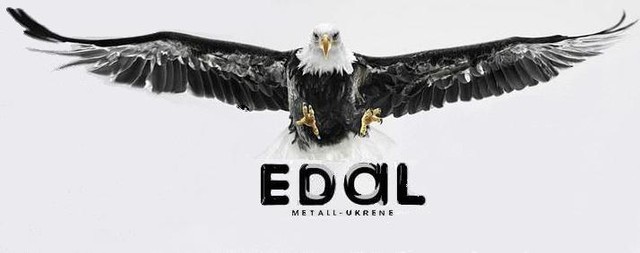 Игл организация. Eagle компания. Eagle Finance. Орела фирма. Inscription big Black Eagle for Company.