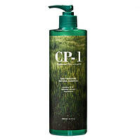Натуральний зволожуючий шампунь для волосся ESTHETIC HOUSE CP-1 Daily Moisture Natural Shampoo 500 мл