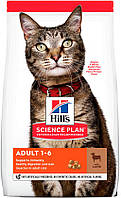 Hill's SP Feline Adult с ягненком и рисом, 300 гр
