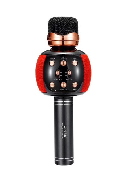 

Микрофон караоке DM Karaoke WS 2911 BLACK ЧЕРНЫЙ