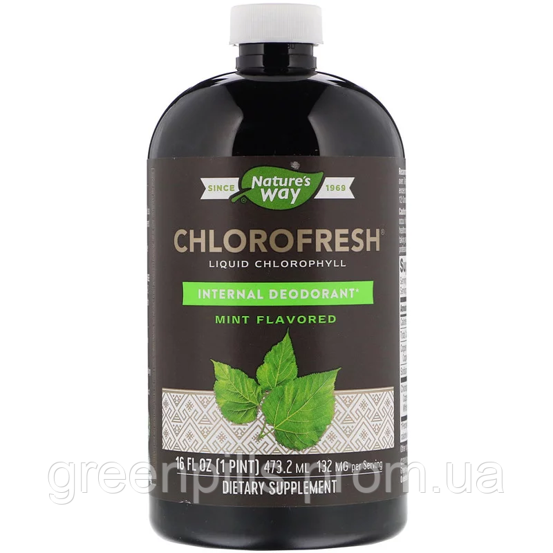 

Жидкий хлорофилл (мята), Liquid Chlorophyll, Nature's Way, 473,2 мл