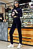 Велюровый спортивный женский однотонный костюм (Теренс mm)​, фото 2