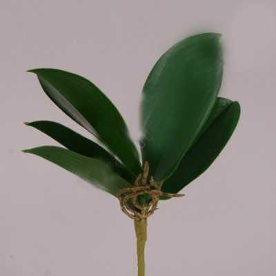 Штучні листя до орхідеї - штучна Зелень