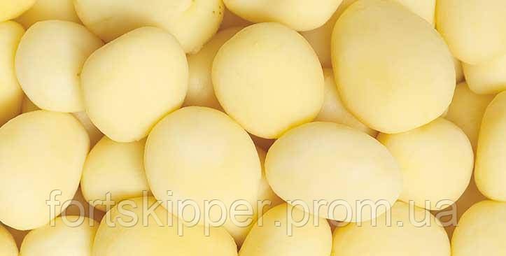 Бо карбокорундовый пілінг картоплі Kiremko 700 кг/год