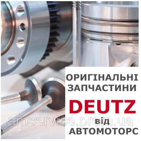 

Плунжерная пара топливного насоса Deutz 01308825