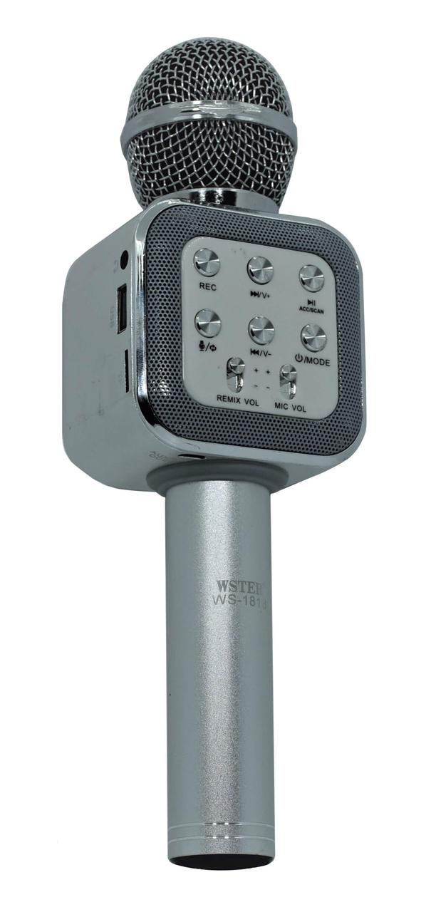 

Микрофон караоке для детей WSTER WS-1818 Silver