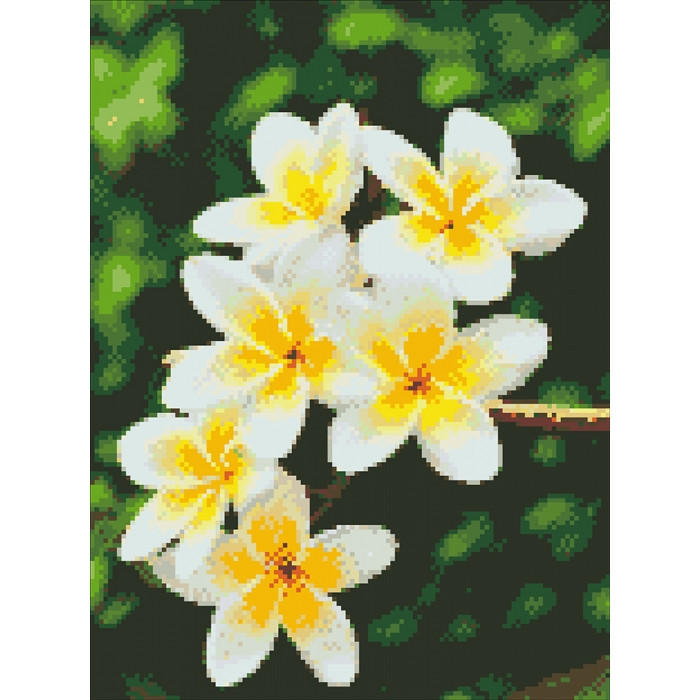 

Алмазная мозаика "Гавайский цветок" 30*40см AM6105