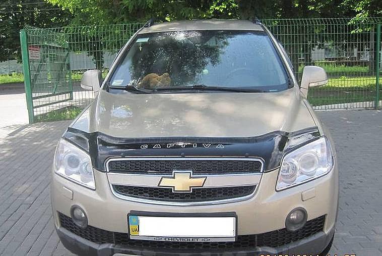 

Дефлектор капота (мухобойка) Chevrolet Captiva (2006-2011)