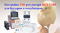 Настройка PID регулятора REX C100 для брудеров и инкубаторов